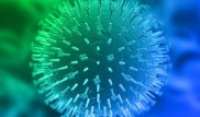 Компьютерное проектирование противовирусных белков может предупредить очередную пандемию