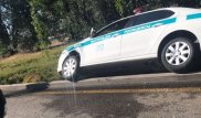 В полиции Алматы рассказали, как служебное авто упало в арык
