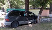ДТП в Алматы: "минивэн" врезался в дерево, пострадала девушка
