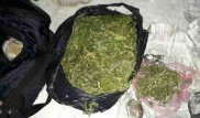 Экс-сотрудник акимата Темиртау задержан с килограммом марихуаны