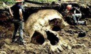 Найдены останки великанов, живших 5 000 лет назад в Китае