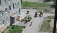 Лошади во дворах многоэтажек напугали карагандинцев