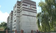 Хоккеиста с девятиэтажный дом рисуют стрит-арт-художники в Усть-Каменогорске
