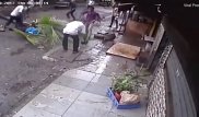 Известную индийскую телеведущую насмерть задавило пальмой