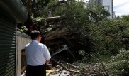 Более 80 человек пострадали из-за тайфуна на Тайване