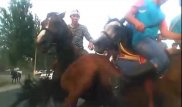 Играющие в кокпар на дороге всадники повредили машину алматинки