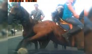 Полиция устанавливает участников игры "кокпар", повредивших машину алматинки