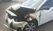 "Бараны были разбросаны по дороге". Жительница Астаны рассказала о ДТП на трассе