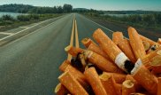 Закатывать сигаретные окурки в асфальт предложили ученые