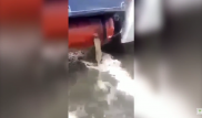 Вода вместо газа. Руководство заправки в Астане прокомментировало видео в Сети