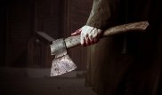 Несовершеннолетним, зарубившим топором трех человек в Акмолинской области, огласили приговор