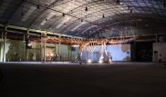 В Аргентине откопали динозавра размером с "Боинг-737"