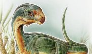 Ученые исследовали "динозавра Франкенштейна" из Чили