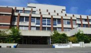 Берлинских школьников оградили от проституток полутораметровым забором