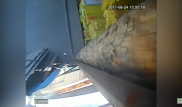 Появилось видео начала пожара на рынке в Шымкенте