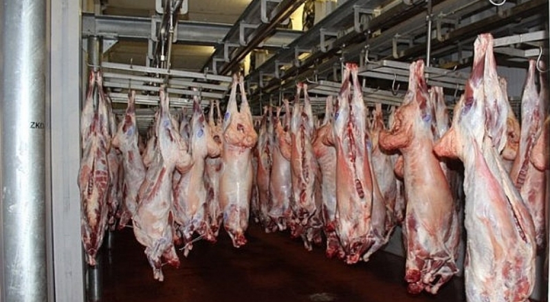 Налаживается экспорт мяса из ЗКО в Иран