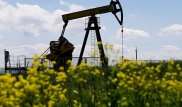 Цена на нефть впервые за пять месяцев поднялась выше 55 долларов