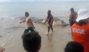 Неизвестного морского монстра прибило к побережью Филиппин