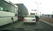 "Мы думали, это мусор". Попытка избавиться от кота в Астане попала на видео
