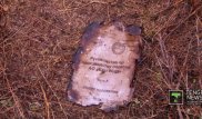 Во время снижения самолета пилоты молчали - глава East Wing о крушении