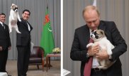 Гурбангулы Бердымухамедов подарил Путину алабая