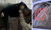 Упавший на железные прутья в Уральске не поступал в больницу - облздрав