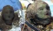 Уникальную находку сделали на севере Сибири