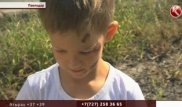 Швырнувшего ребенка на бетон мужчину отпустили в зале суда в Павлодаре