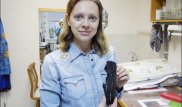 Загадочный 5000-летний артефакт найден на заброшенном поле в Новосибирске