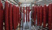 Ученые выяснили, как голодание влияет на продолжительность жизни