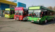 Кондуктор женился - кортеж из свадебных автобусов проехал по Алматы