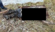 50-летняя дворничиха 4 месяца хранила в погребе тело коллеги-возлюбленного