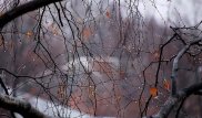 Когда закончатся аномально теплые дни в Казахстане