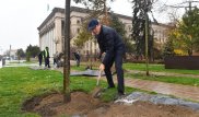 Байбек посадил деревья на улице Панфилова в Алматы