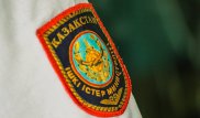 Автоледи устроила "веселую" ночь полицейским в Алматы