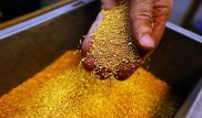 Вывести из тени незаконных собирателей драгоценных металлов хотят в Казахстане