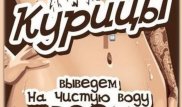 Новую активность группы "Курицы Алматы" прокомментировали в прокуратуре