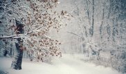 Снег и метель ожидаются в Казахстане