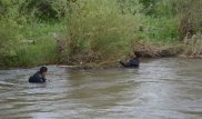 Двое российских военнослужащих утонули в Карагандинской области