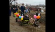 "Принц на сером осле". В Сети появилось забавное видео со свадьбы в казахском селе