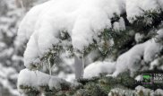 Более 800 рабочих расчищают снег на дорогах Алматы