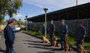 50 раскрытых преступлений на двоих: ДВД Алматинской области о лучших немецких овчарках