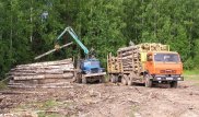 Вернуть государству. Сагинтаеву пожаловались на лесопользователей