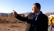 "Что за безобразие". Акима ЮКО возмутили 18 туалетов во дворе жилого дома