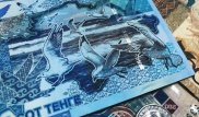 Нацбанк объяснил сходство чайки на 500 тенге с изображением из "Википедии"
