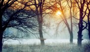 Какими будут первые дни зимы, рассказали синоптики