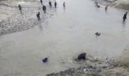 Участников видео с "прыгающей" рыбой в водоеме хотят привлечь к ответственности