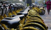 Прокатчики желтых велосипедов ответили на посты о кражах