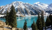 Электронные визы предложили внедрить в Казахстане