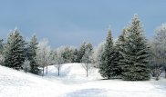 Какой будет погода на День Независимости в Казахстане
